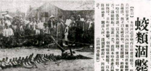 东北老人称见过真龙,还拿出"龙骨",专家看后呆住_孙正_事件_我国