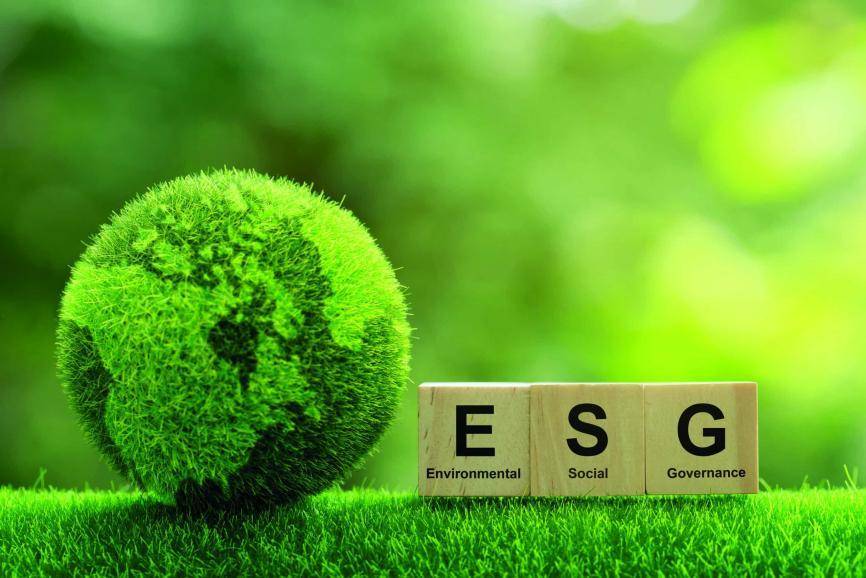 马斯克不愿履行的社会责任珍酒要代表白酒们接起来