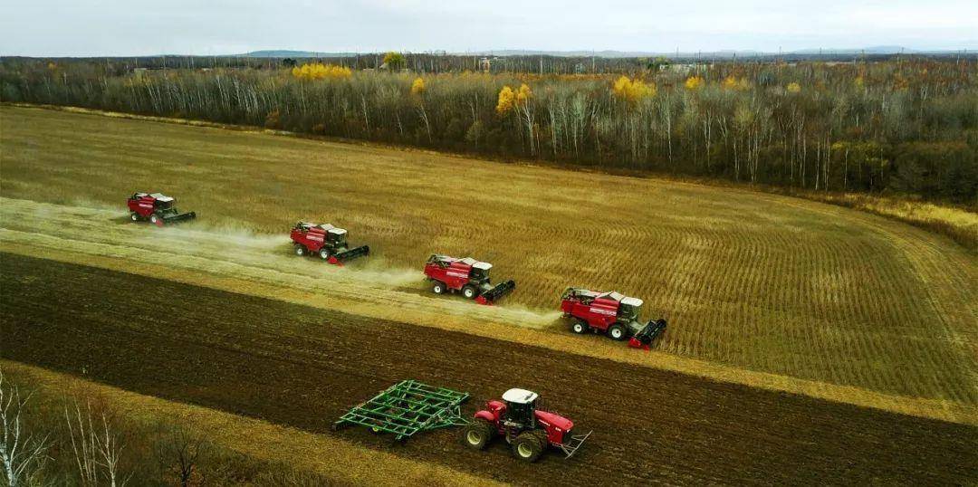 原创国土面积第一的俄罗斯远东农业为何荒废为何没有像样的粮仓