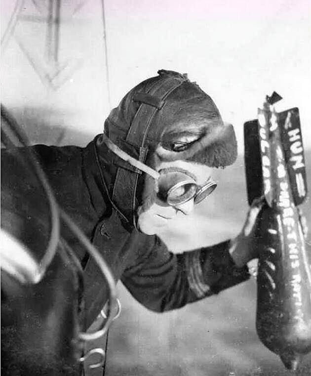 原创击落多少敌机才被称为王牌法国5架英国8架但加起来都没德国多