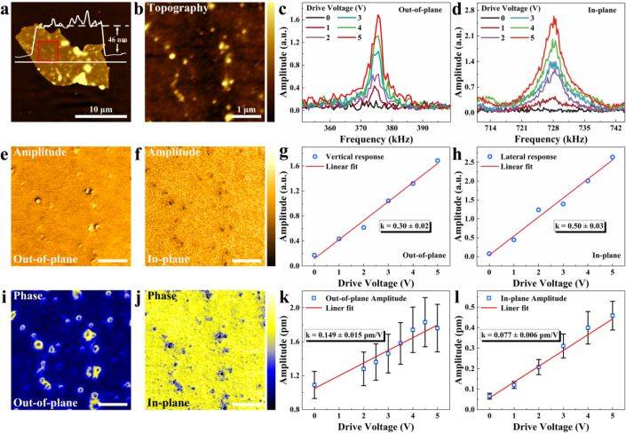 结晶二维氮化物半导体的室温铁磁性与压电性
