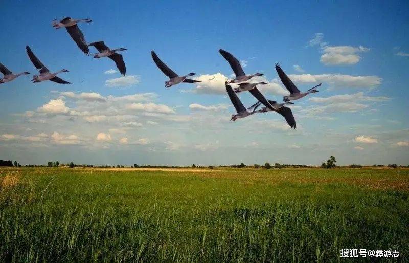 峨洛书古大雁乐土