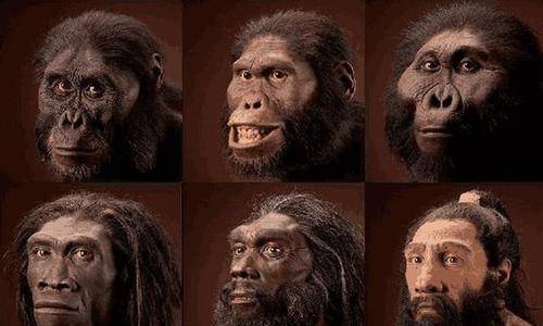 根据进化论可知,人科动物历史最开始出现,是在公元前500万年,一直到