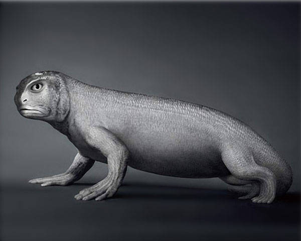 原创有没有可能存在天神基因拯救人类渡过一次次灭绝危机