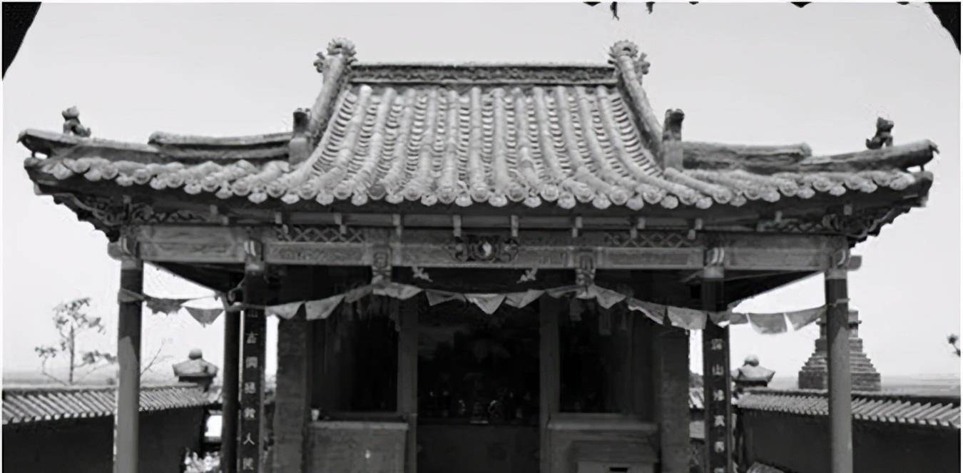 原创被称作黄大仙的黄鼠狼到底有多厉害为何都不敢招惹它