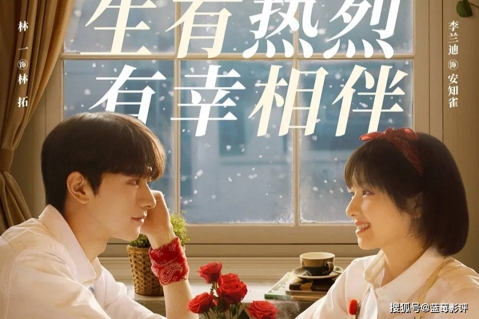 林拓_兰迪_剧情