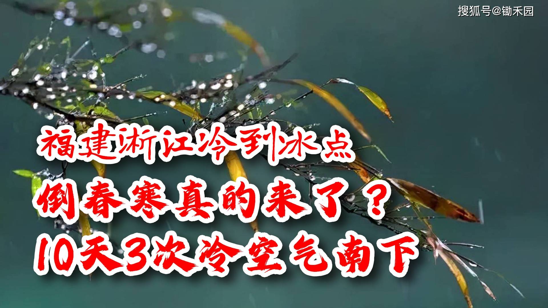原创福建浙江冷到冰点倒春寒真的来了分析10天3次冷空气南下