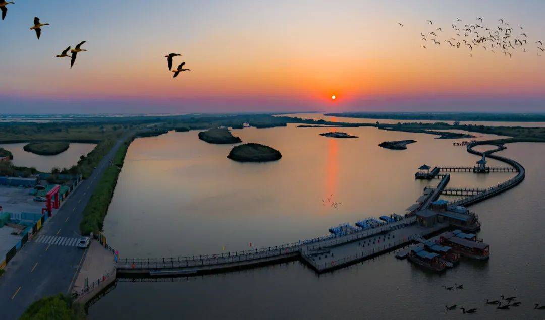 白鹤飞舞,黄河入海,来东营看尽沧海变桑田_湿地_旅游_海堤