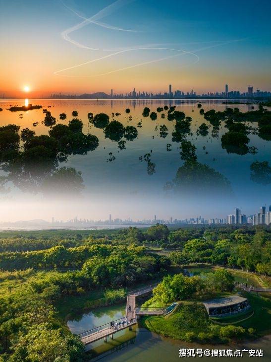 深圳中信城开红树湾开红树湾售楼处首页网站开红树湾欢迎您价格户型