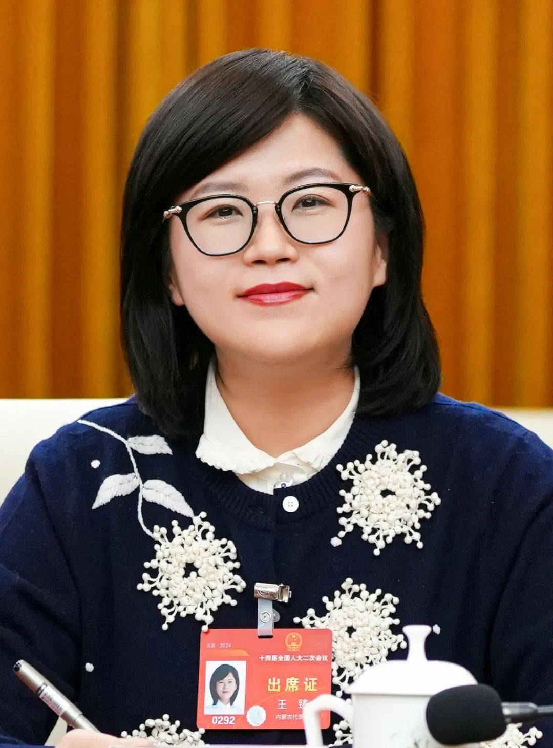 王臻代表以高质效办案加强荒漠化防治司法保障