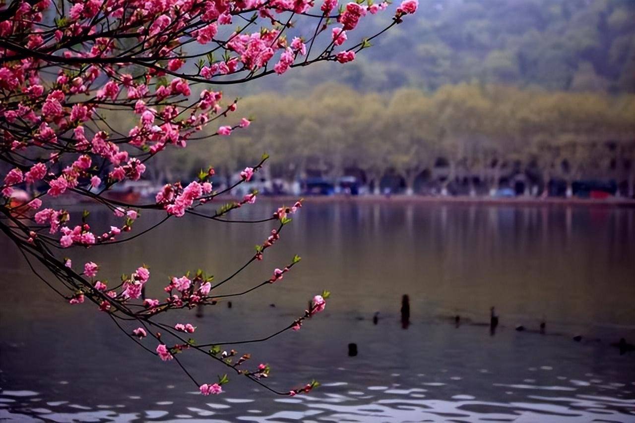 原创十首宋代诗人笔下的春日绝句等闲识得东风面万紫千红总是春