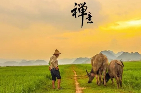 原创海灯法师这两句话一般人做不到能做到的人都悟性很高