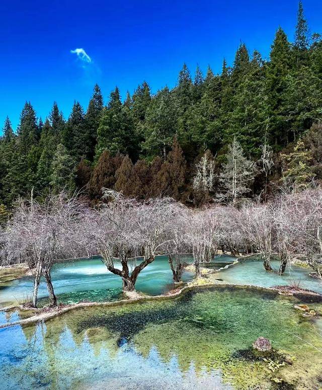 四川成都五日游旅游攻略,成都5日游多少钱,景点介绍_day_全程_门票