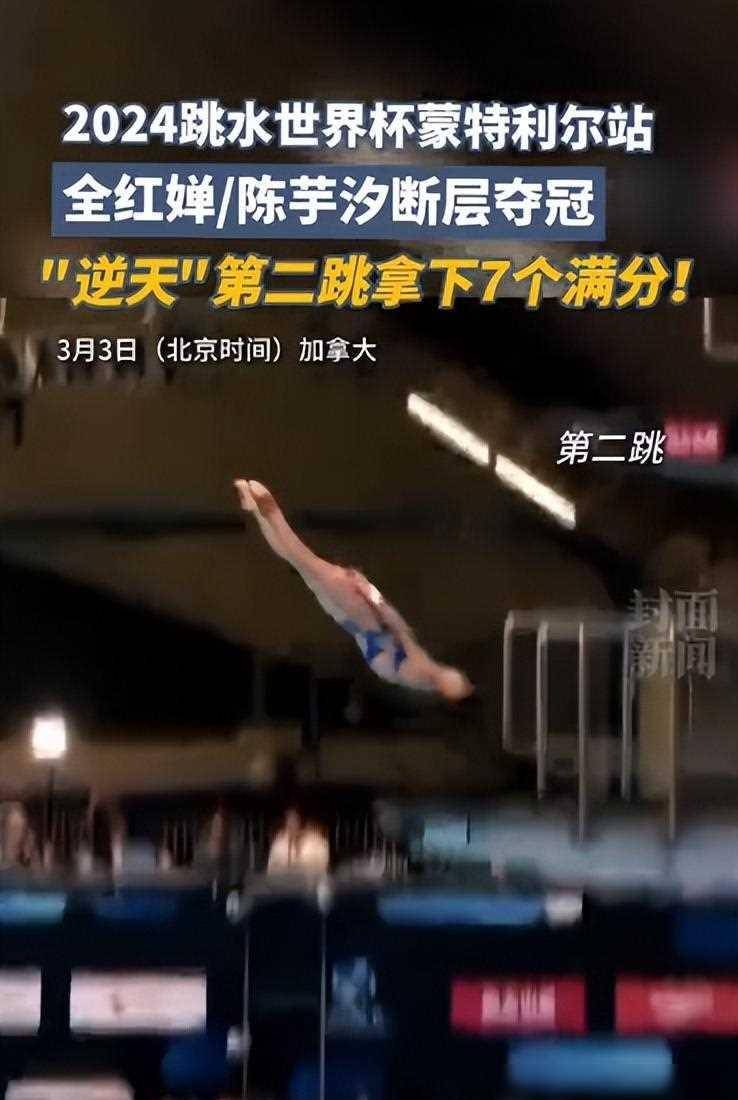 陈芋汐夺冠后英文发言引争议,遭众多网友怒喷_全红婵_跳水_比赛