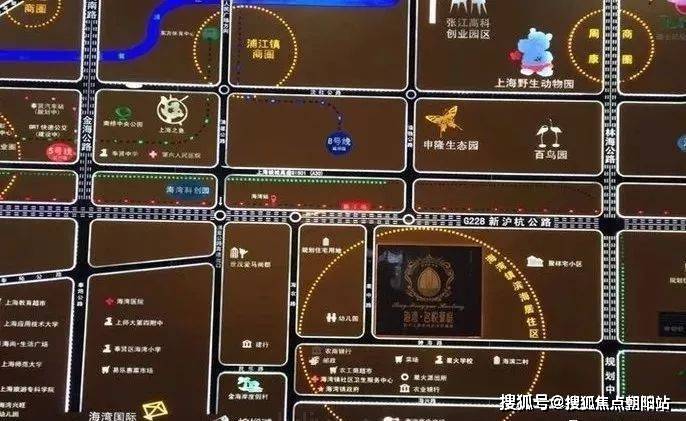 上海奉贤海湾名悦豪庭名悦豪庭丨海湾名悦豪庭欢迎您丨名悦豪庭楼盘