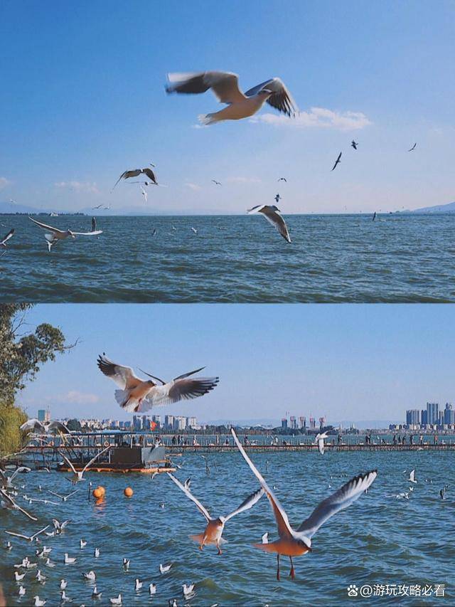 ②稍远海埂公园周边:云南民族村,民族博物馆,海埂公园,海埂大坝,西山