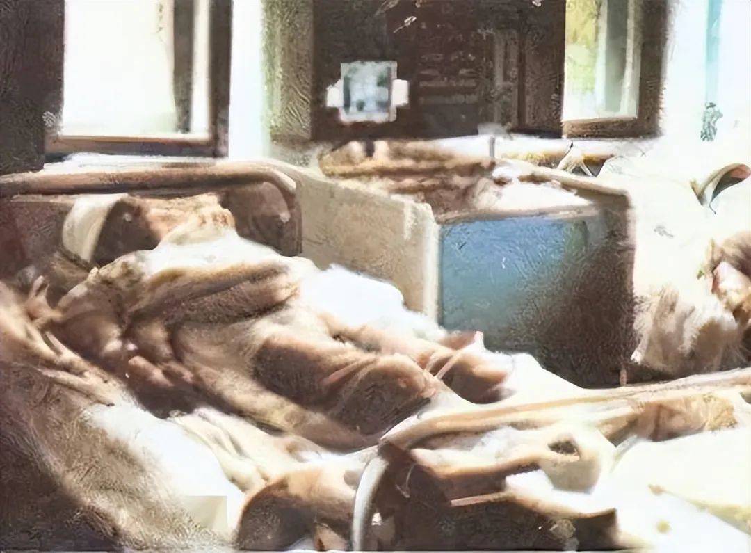 高剂量辐射可以引起严重的急性放射病,甚至导致死亡.