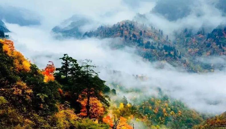 可它的门票价格,也高达128元,这个景区就是"瓦屋山风景区"