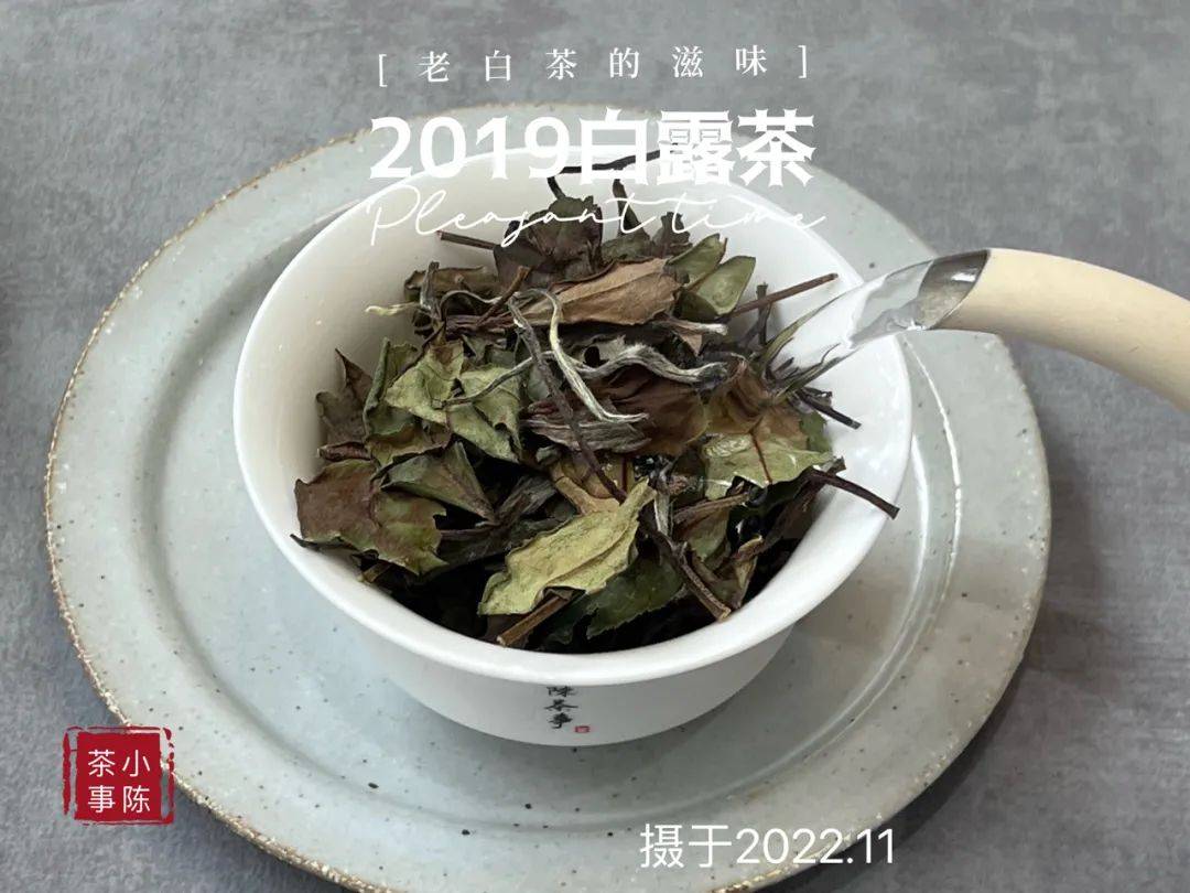 原创白茶总是泡不好喝老茶客说出5大泡茶误区看看你中招了吗