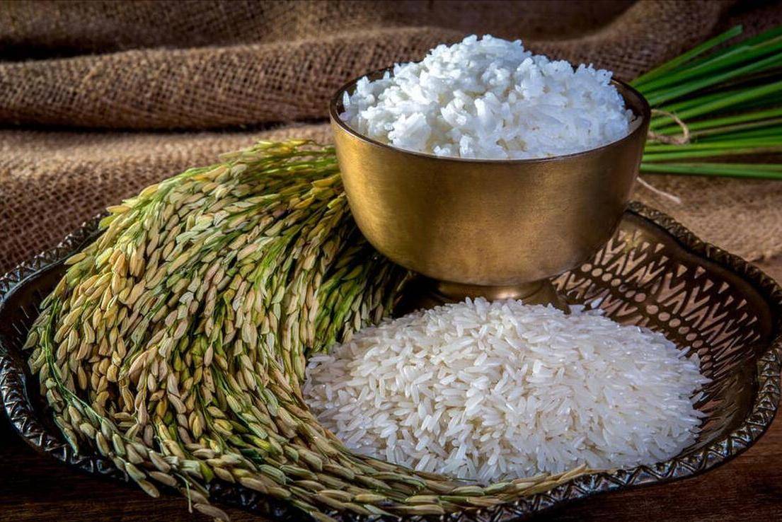 东北vs南方,哪的大米最好吃?更受欢迎?网友:比啥,没有可比性