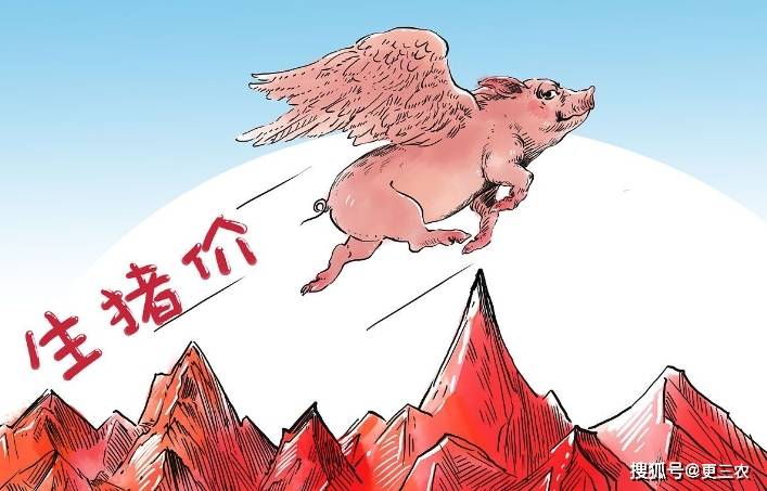 原创玉米价格一夜突变供需大战一触即发3月11日全国玉米报价