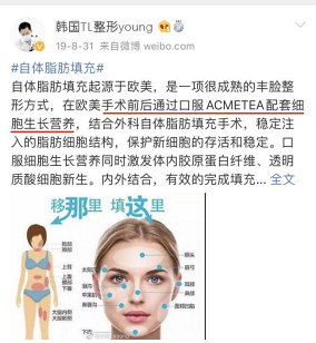 身体_细胞_过程