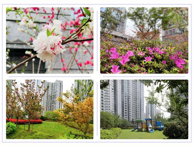 上海真如cbd高尚领域房价楼盘信息