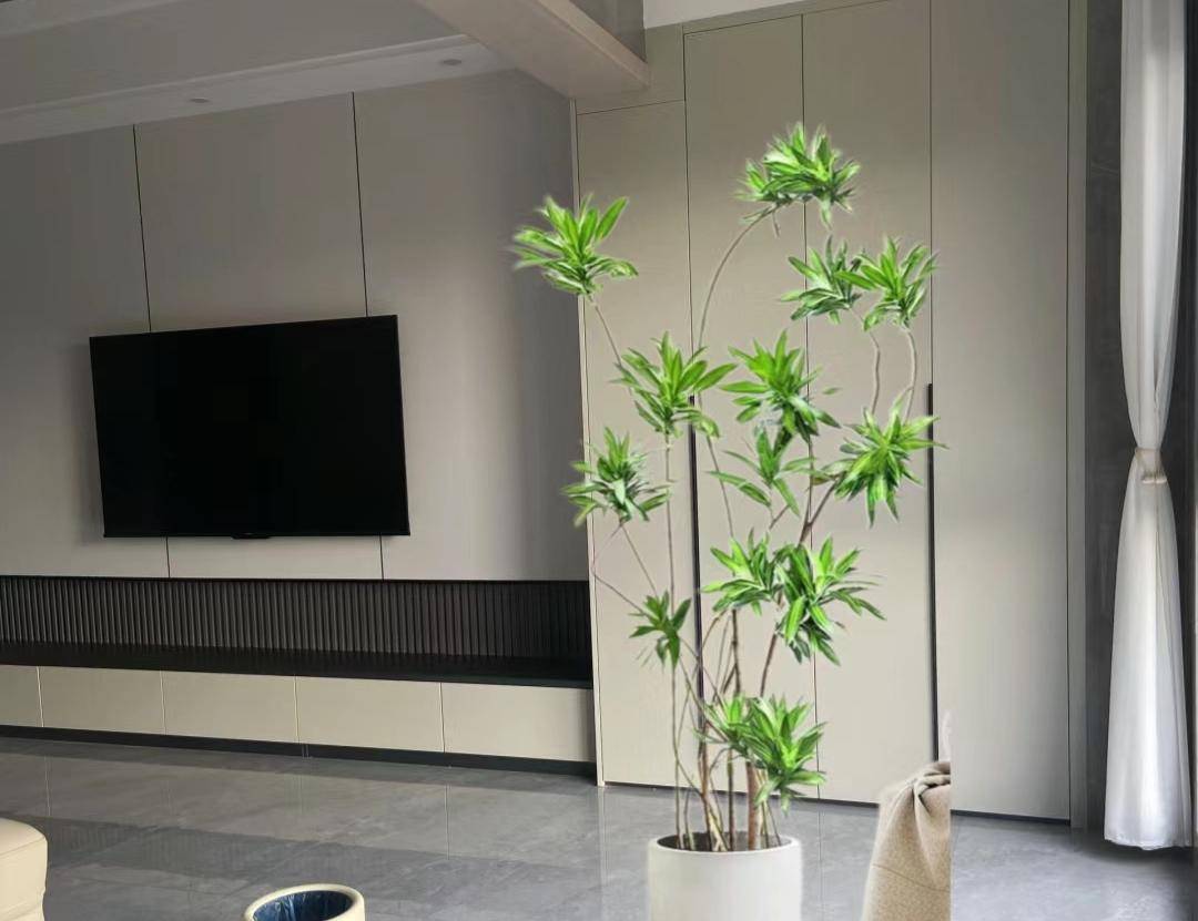 客厅绿植选这10种,高级又有氛围感