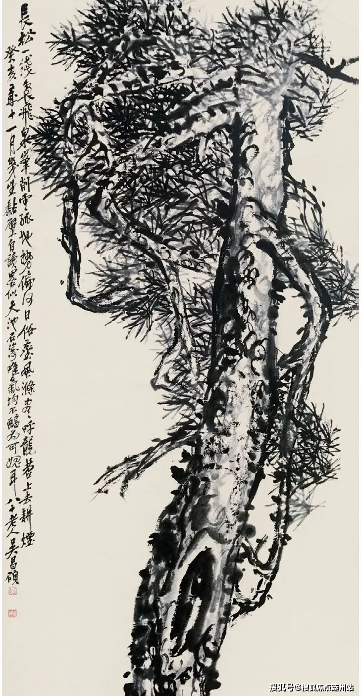 了描绘和赞赏,国学大师吴昌硕就曾以松树做著名国画《老松大壑作龙眠