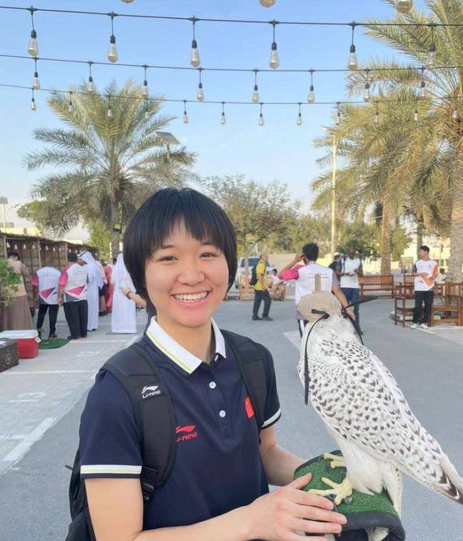 原创两会上的小燕子又美又飒