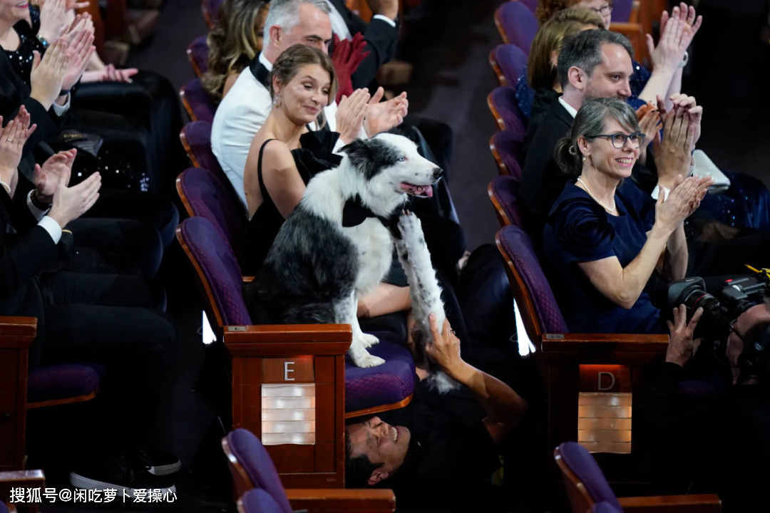 这届奥斯卡好精彩石头姐裙子绷烂了裸男颁奖