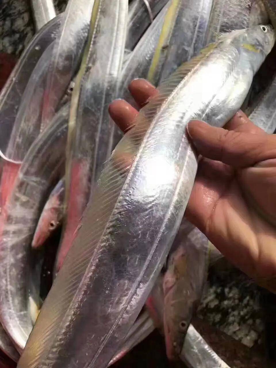 海鲜要怎么做才好吃教你几招方便下厨