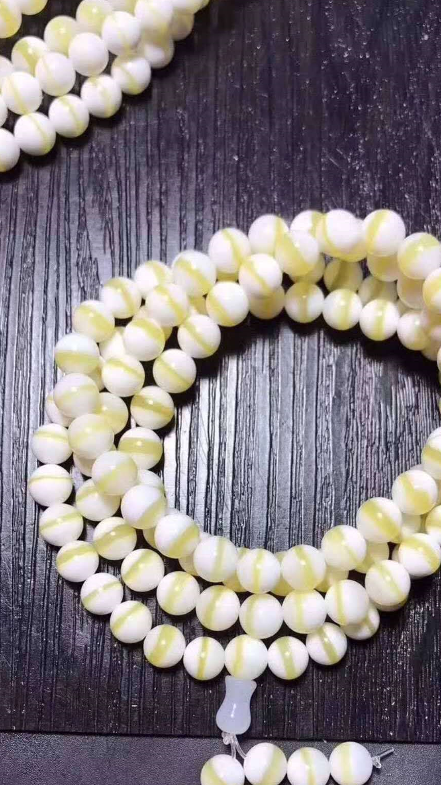 原创曾经风光一时的砗磲