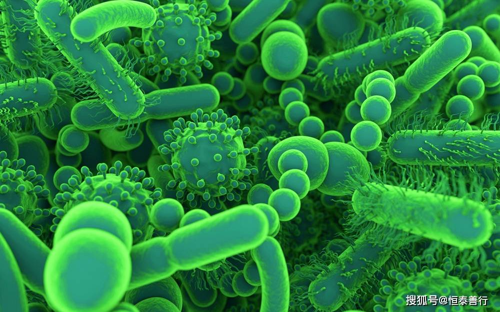 肠道菌群—心理健康守护者_影响_研究_微生物