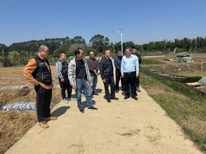 道滘镇党委副书记吴炽谦率队深入聚春工业园和上口冬瓜地开展督导检查