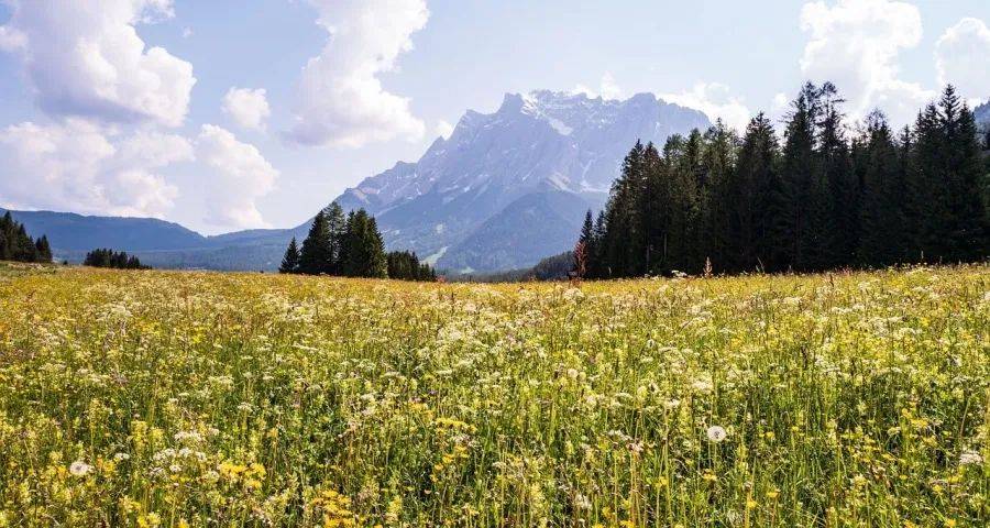 今年起家电企业敢于对经销商负责-家电圈官网