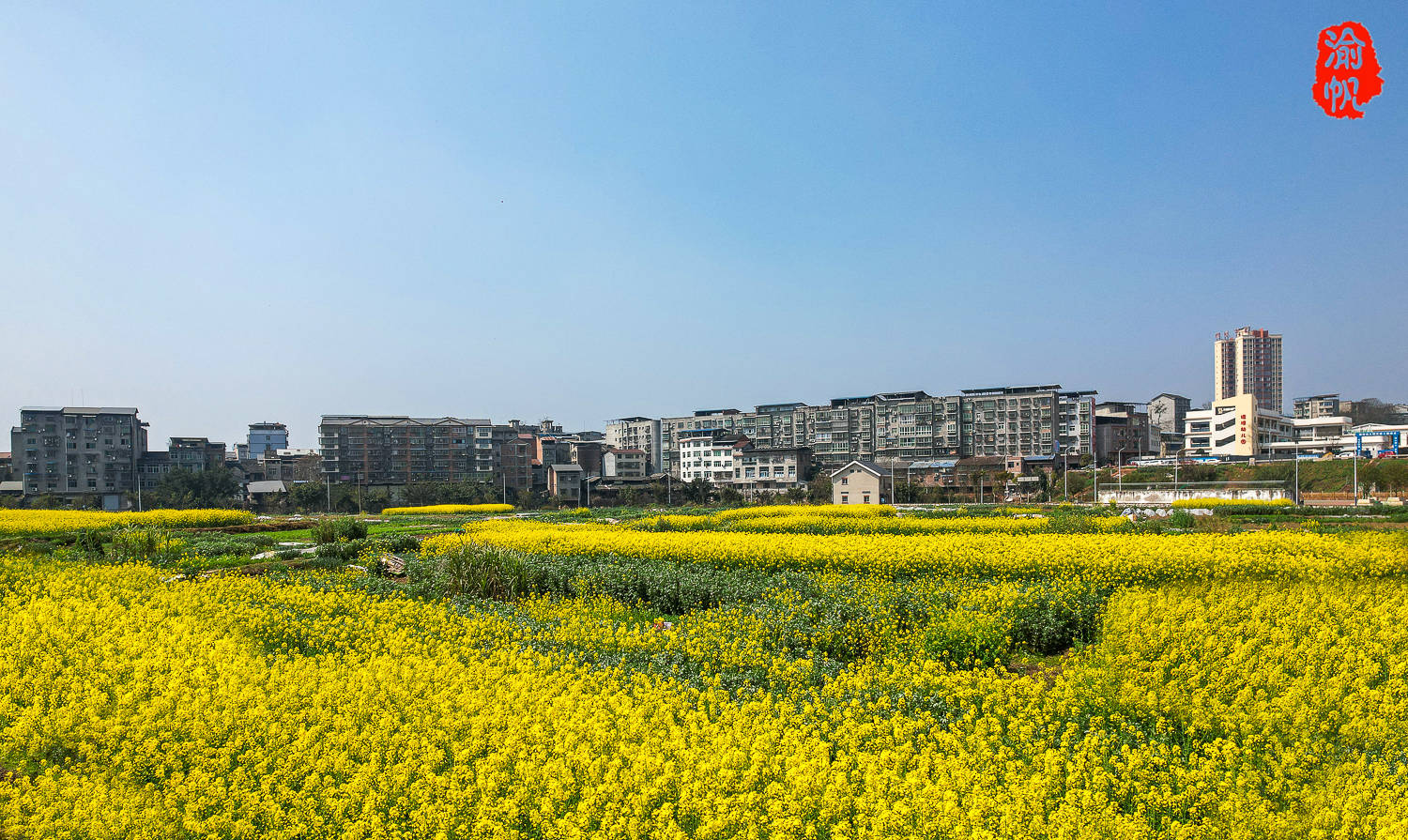 原创塘坝印象潼南三大名镇之一因塘多坝平得名系重庆市级中心镇