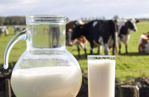 原创牛奶盒子上的清真是什么意思涨知识了原来大家都误会了