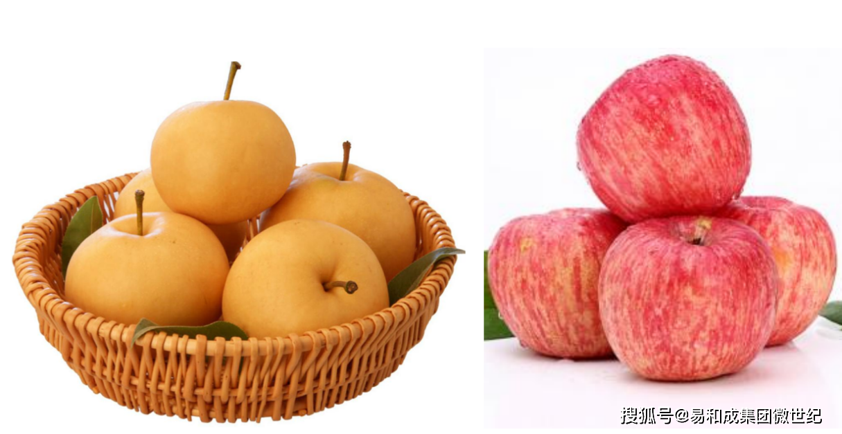 富硒水果的璀璨明珠山西苹果与富硒金果梨