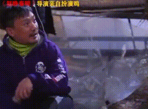 场面,在怒晴鸡墓底大战毒蜈蚣这场戏中,戏里的神鸡满血激战,大展神威