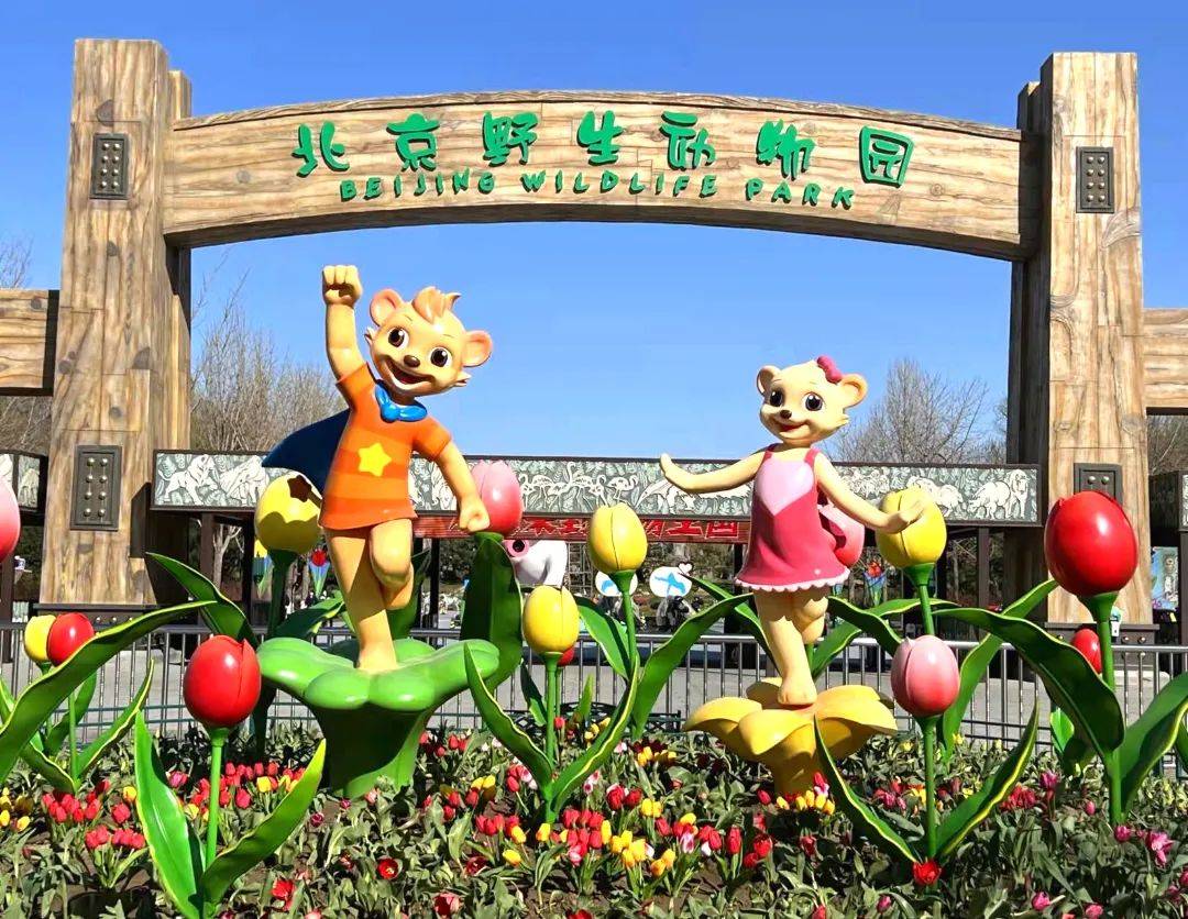 北京野生动物园2024开放时间