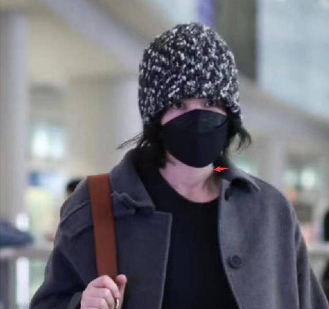 王菲谢霆锋游玩回国王菲用拳头捶男友撒娇尽显小女儿姿态