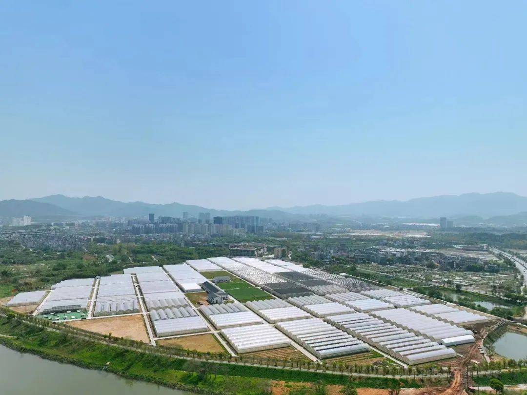 案例义乌佛堂智慧蔬菜产业园投入使用为高效农业提供技术保障