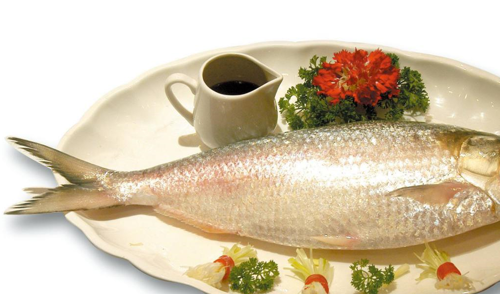 最后要说的就是一种被大家吃没了的鱼类,它就是长江鲥鱼,在上个世纪60