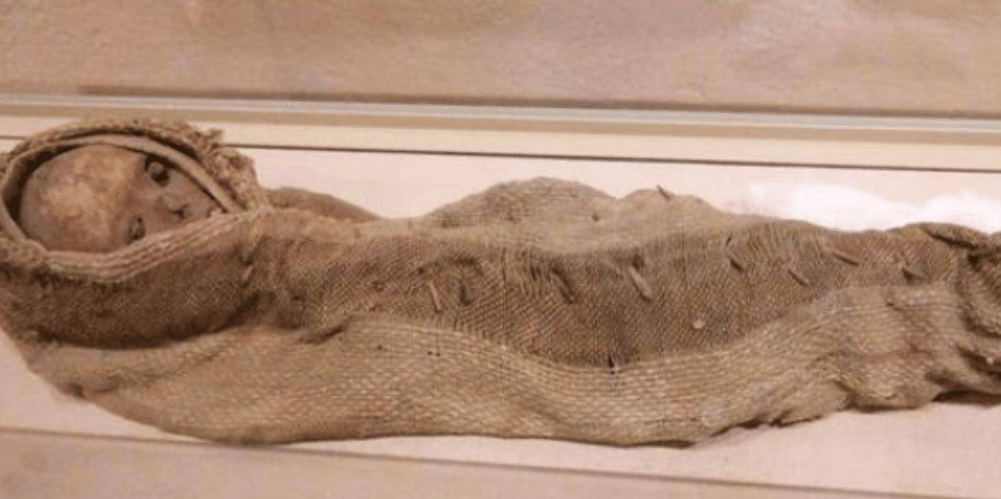 江苏出土明朝不腐女尸,手戴绿宝石戒指,专家褪掉衣物:绝色美女_古墓