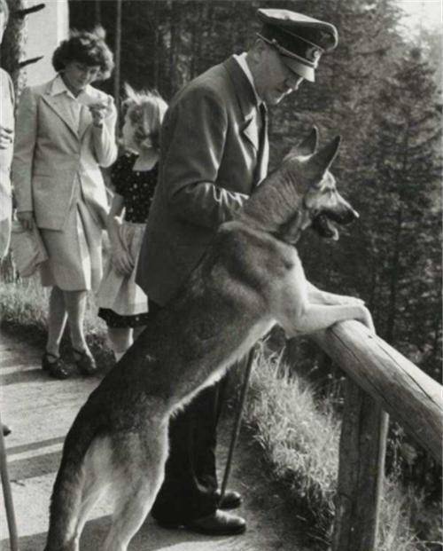 布劳恩_霍夫曼_德国