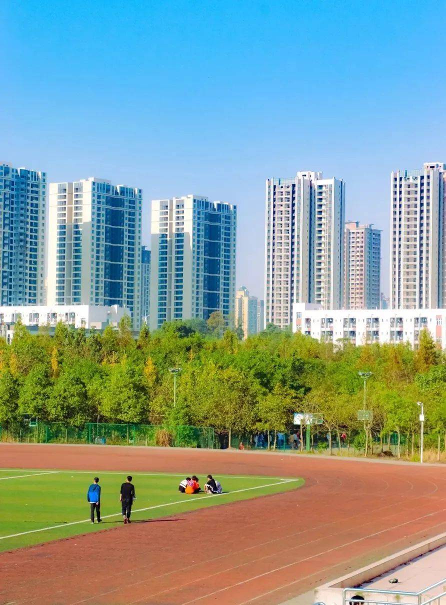 风里雨里,我在重庆电讯职业学院等你!