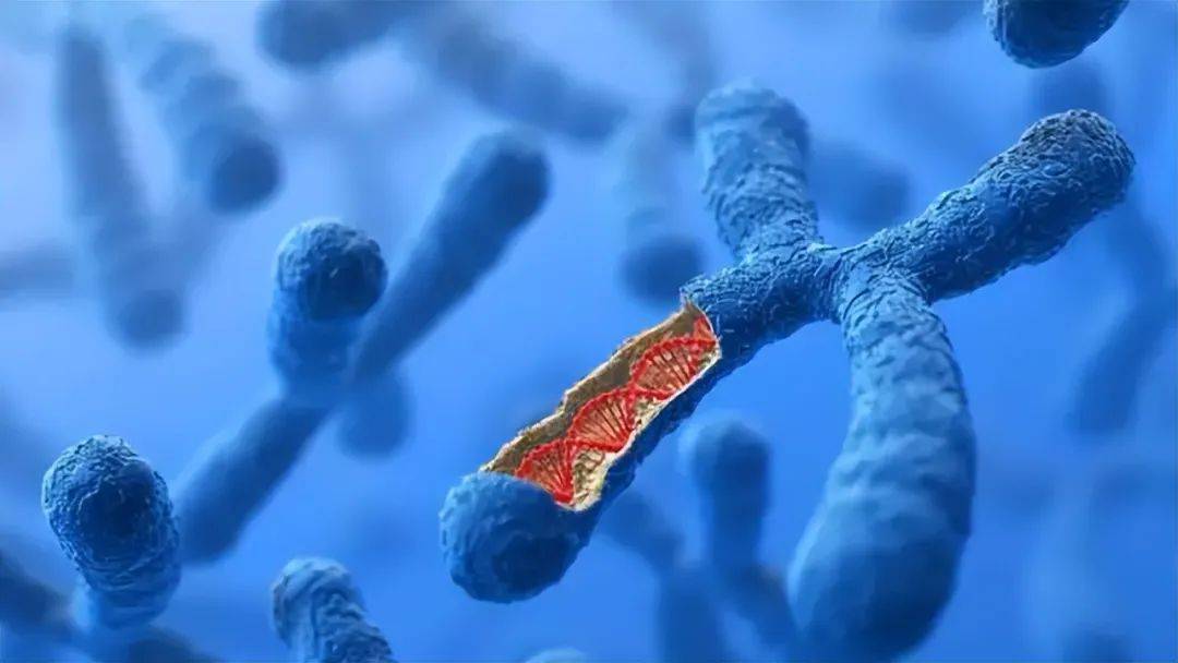 原创揭秘人类基因禁令潜伏在20号染色体中的朊病毒