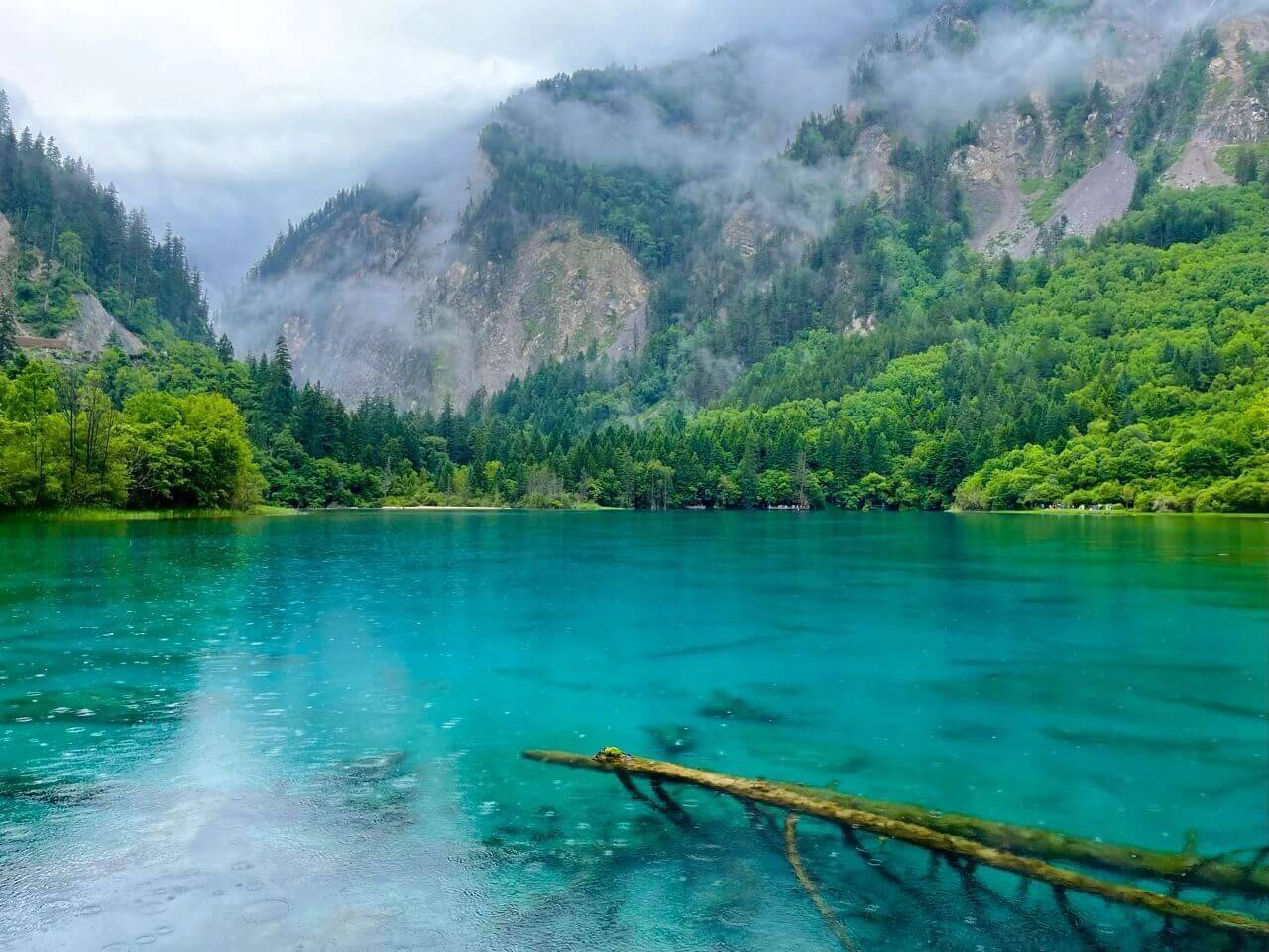 朱朱_九寨沟_费用