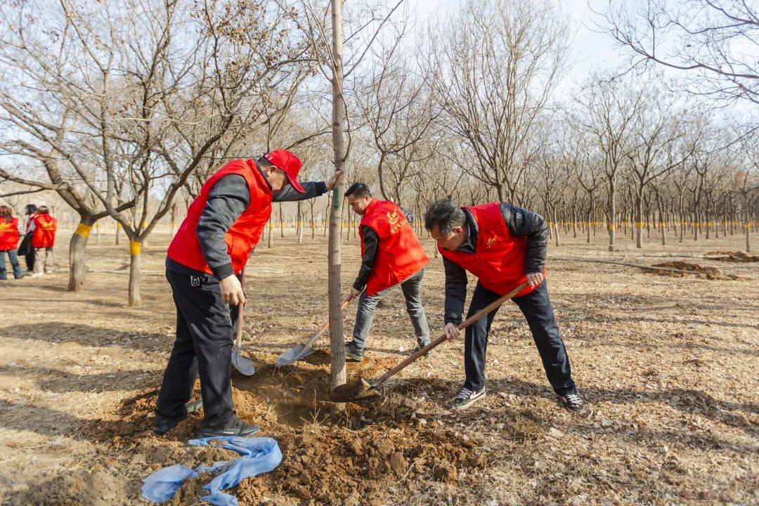 顺义区龙湾屯镇开展绿地大扫除共建美化家园植树节活动
